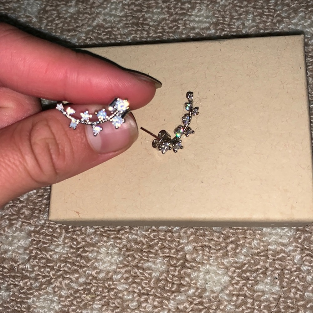Silver Branch Earings